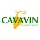 Cavavin Villeneuve-d'ascq